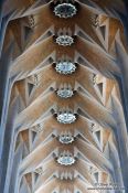 Travel photography:Barcelona Sagrada Familia ceiling close, Spain