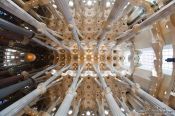 Travel photography:Barcelona Sagrada Familia ceilling 180° panorama, Spain