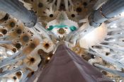 Travel photography:Barcelona Sagrada Familia interior, Spain