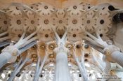 Travel photography:Barcelona Sagrada Familia interior pillars, Spain