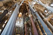 Travel photography:Barcelona Sagrada Familia interior forest of pillars, Spain