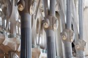 Travel photography:Barcelona Sagrada Familia interior pillars, Spain