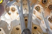 Travel photography:Barcelona Sagrada Familia interior pillars, Spain
