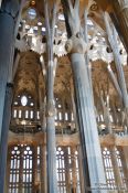 Travel photography:Barcelona Sagrada Familia interior pillars, Spain