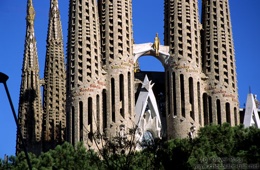 The Sagrada Familia Basilica in Barcelona