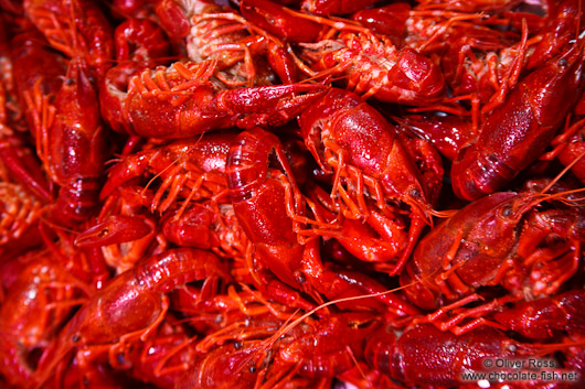 Shrimps at the Bilbao food market