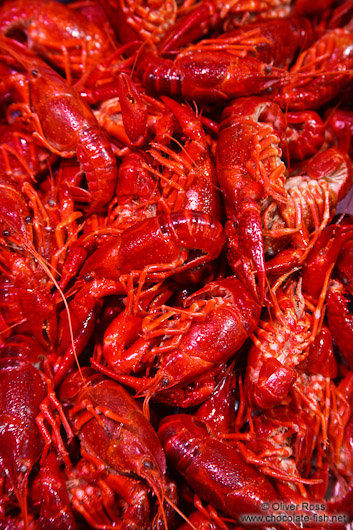 Shrimps at the Bilbao food market