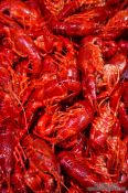 Travel photography:Shrimps at the Bilbao food market, Spain