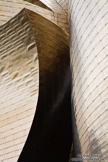 Facade detail of the Bilbao Guggenheim Museum