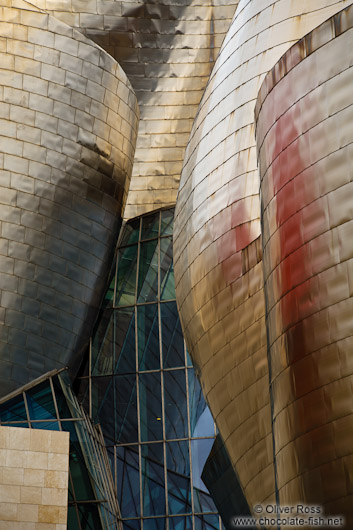 Facade detail of the Bilbao Guggenheim Museum