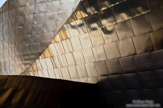 Facade detail of the Bilbao Guggenheim Museum