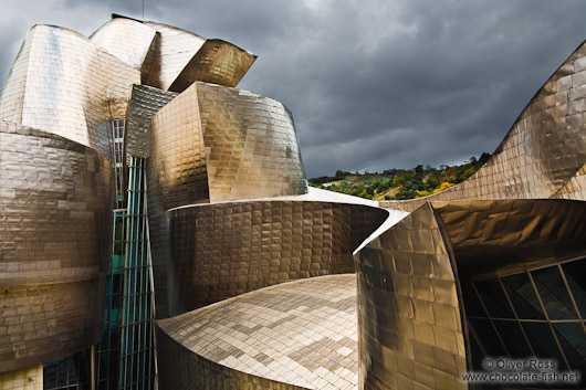 The Bilbao Guggenheim Museum