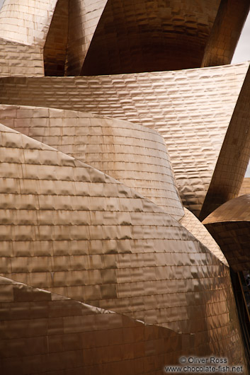 Facade detail of the Bilbao Guggenheim Museum