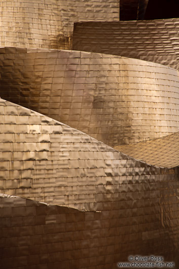 Facade detail of the Bilbao Guggenheim Museum