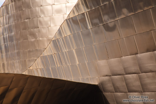 Facade detail of the Bilbao Guggenheim Museum