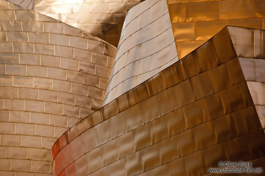 Facade detail of the Bilbao Guggenheim Museum