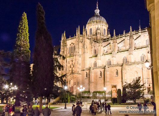 Salamanca Cathedral by night