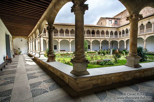 Interiour courtyard of the Convento de las Dueñas in Salamnca