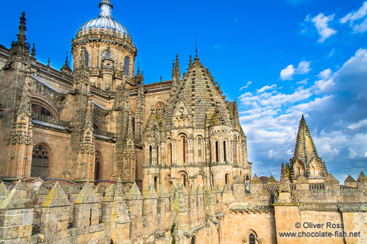 Battlements of Salamanca cathedral