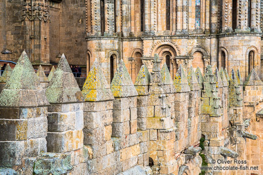 Battlements of Salamanca cathedral