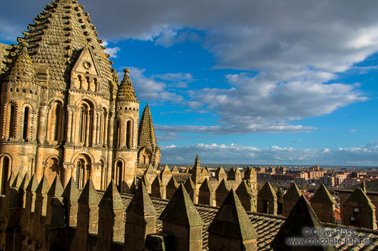 Battlements of Salamanca cathedral