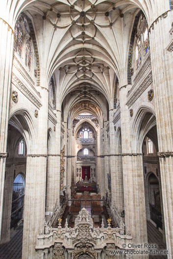 Inside Salamanca cathedral