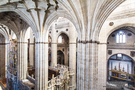 Inside Salamanca cathedral