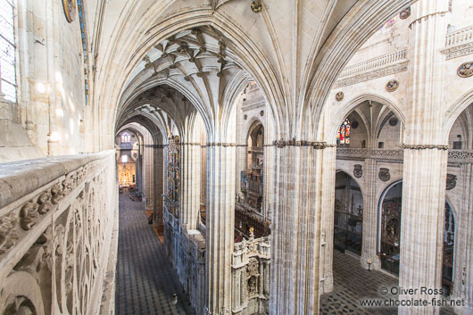 Inside Salamanca cathedral