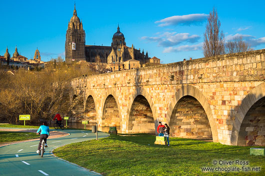 The Roman bridge in Salamanca
