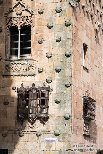 Salamanca Casa de las Conchas