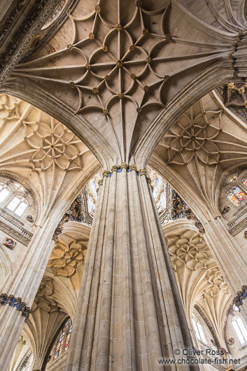 Column and ceiling structure inside the New Cathedral in Salamanca