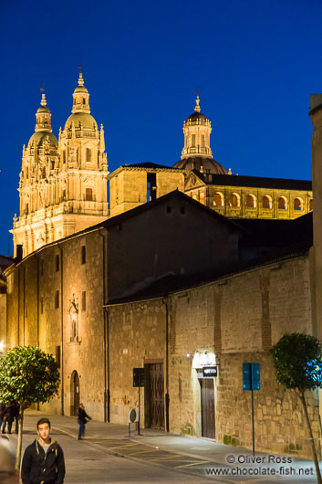 Salamanca street by night