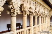 Travel photography:The famous capitals in the Convento de las Dueñas in Salamanca, Spain