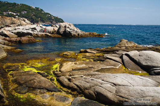 Calella de Palafrugell coast