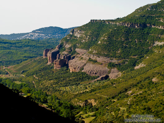 Cingles de Berti landscape