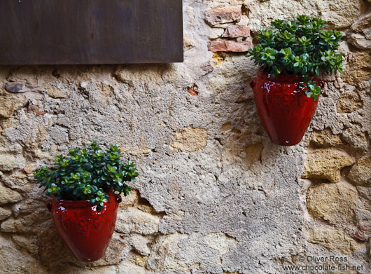 Flower pots decorate a house in Pals