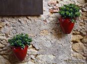 Travel photography:Flower pots decorate a house in Pals, Spain