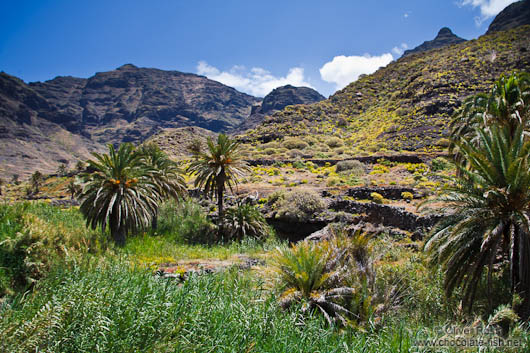 Landscape near Güigüi beach on Gran Canaria