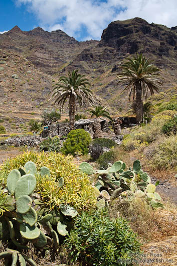 House on Gran Canaria