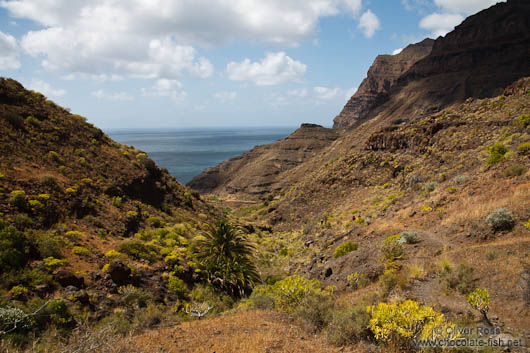 Landscape on Gran Canaria