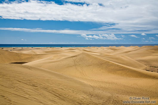 Sand dunes at Maspalomas on Gran Canaria
