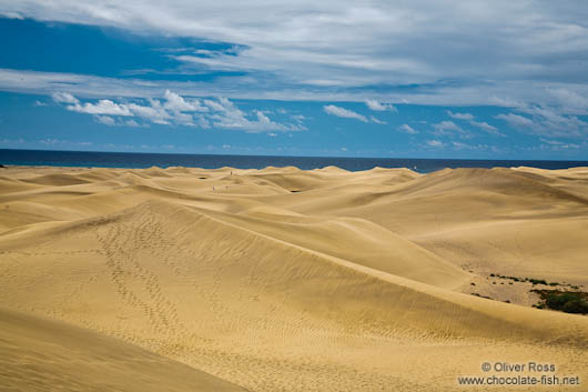 Sand dunes at Maspalomas on Gran Canaria