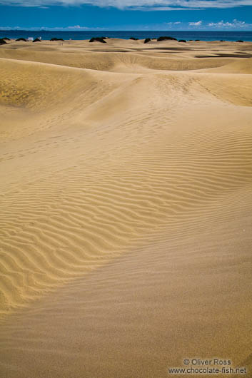 Sand dunes at Maspalomas on Gran Canaria