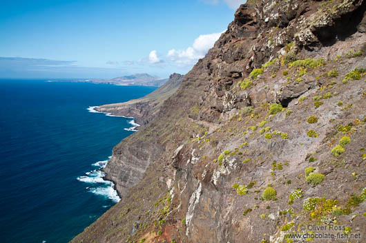 Coastline in the Tamadaba Nature Reserve on Gran Canaria