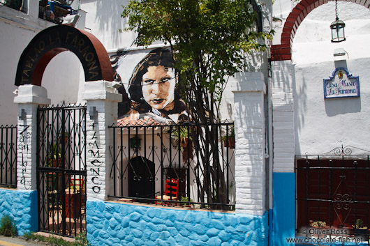 Flamenco house in Granada`s Sacromonte district