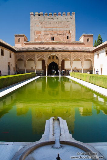 Patio de los Arrayanes (Court of the Myrtles), also called the Patio de la Alberca (Court of the Blessing or Court of the Pond) in the Nazrin palace of the Granada Alhambra