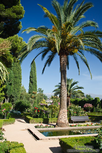 Park and gardens of the Generalife in the Granada Alhambra