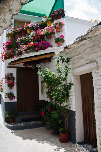 Houses in Pampaneira