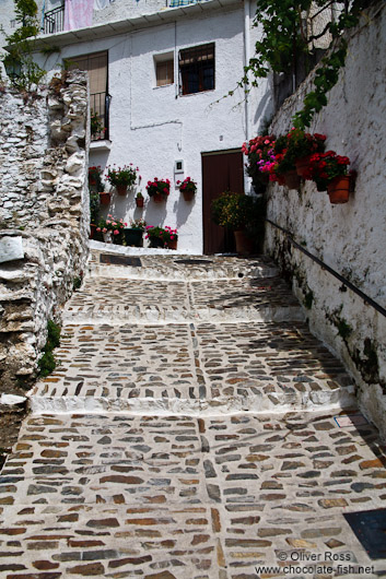 Street in Pampaneira