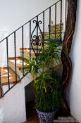 Travel photography:Entrance to a house in Granada`s Albayzin, Spain